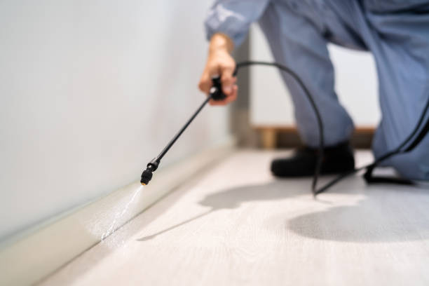 Bed Bug Pre-Treatment Preparation Assessment in Decatur