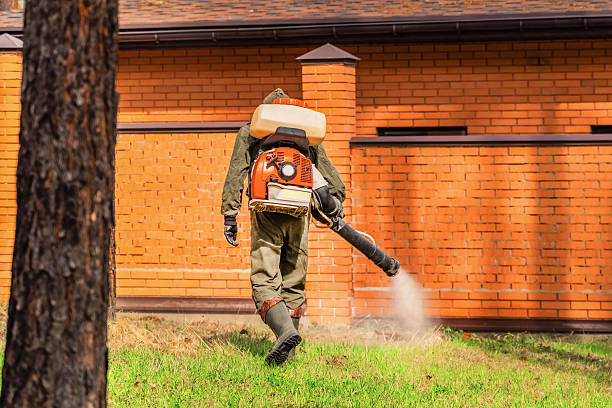 Bed Bug Clearance Verification and Documentation in Decatur